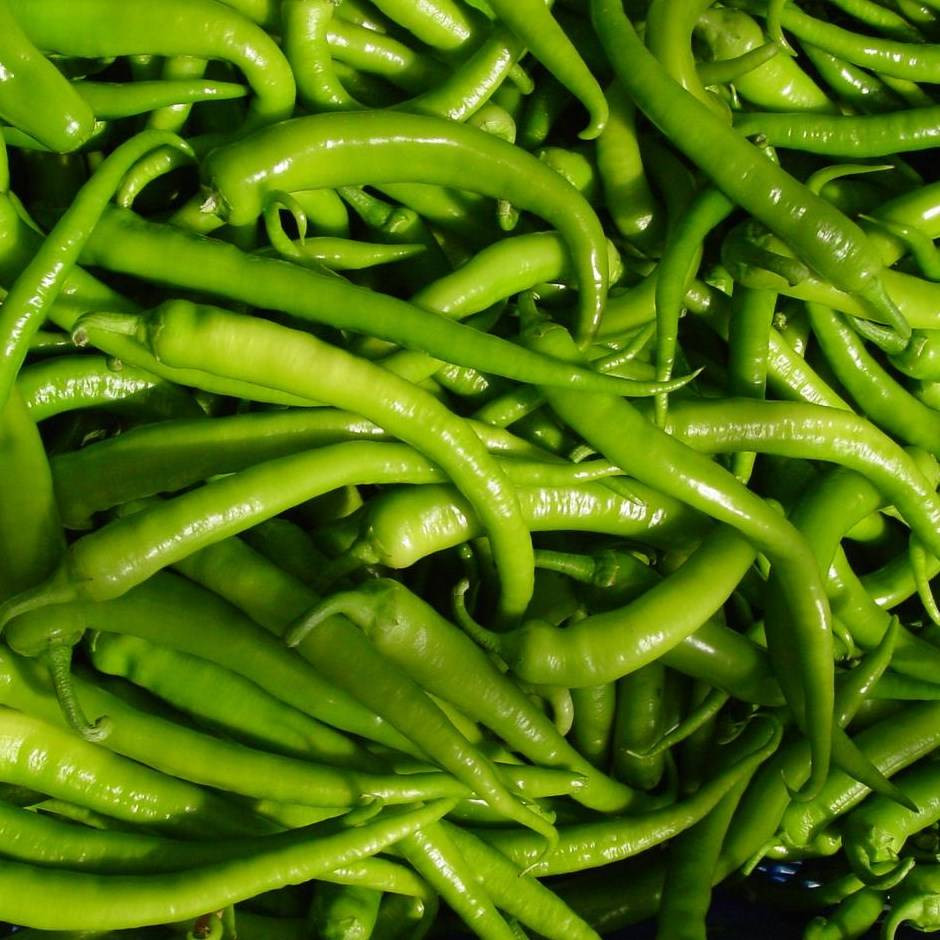 Biberleri taptaze tutuyor. Aylarca çürümüyor ve küflenmiyor - Resim: 15